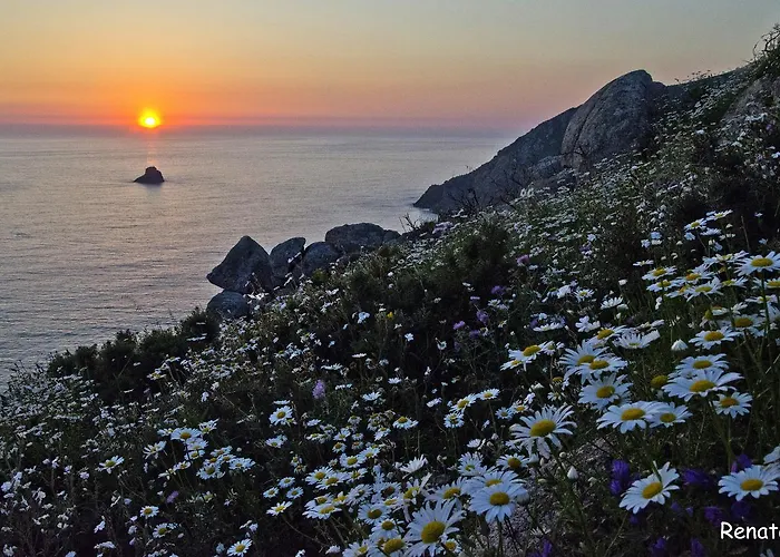 Auberge de jeunesse Oceanus