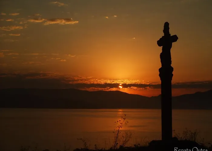 Oceanus ホステル